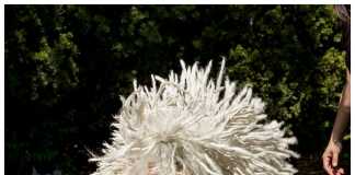 Cainele lui Mark Zuckerberg