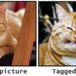 Anul 2005 versus 2015 - am progresat?