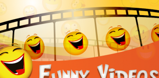 funny videos
