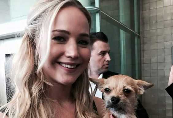 Jennifer Lawrence : cele mai mari castiguri financiare dintre nominalizatii la Oscar Jennifer Lawrence