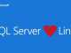 Microsoft SQL plus Linux