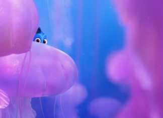Finding Dory