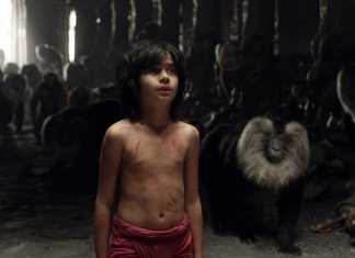 Imagini spectaculoase din filmul Jungle Book Jungle Book