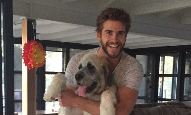 Liam Hemsworth