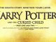 Harry Potter And The Cursed Child