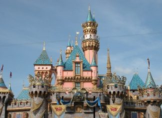 Reguli ciudate daca vrei sa te angajezi la Disneyland disneyland