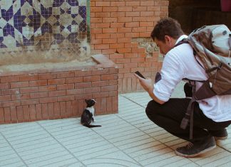Instagram seamana tot mai mult cu Snapchat instagram
