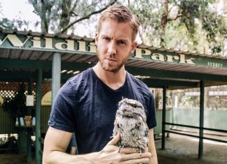 calvin harris