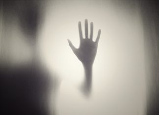 5 terrifying thrillers to read before Halloween halloween