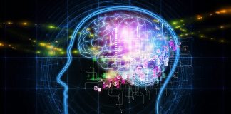 brain games