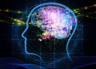 brain games