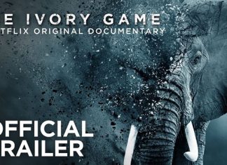 The Ivory Game is the new ‘it’ documentary from Netflix ivory game