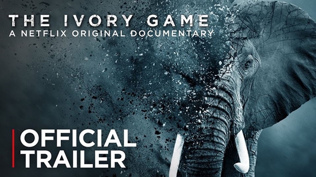 ivory game
